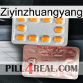 Ziyinzhuangyang new13